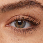 Brown - Daily Set