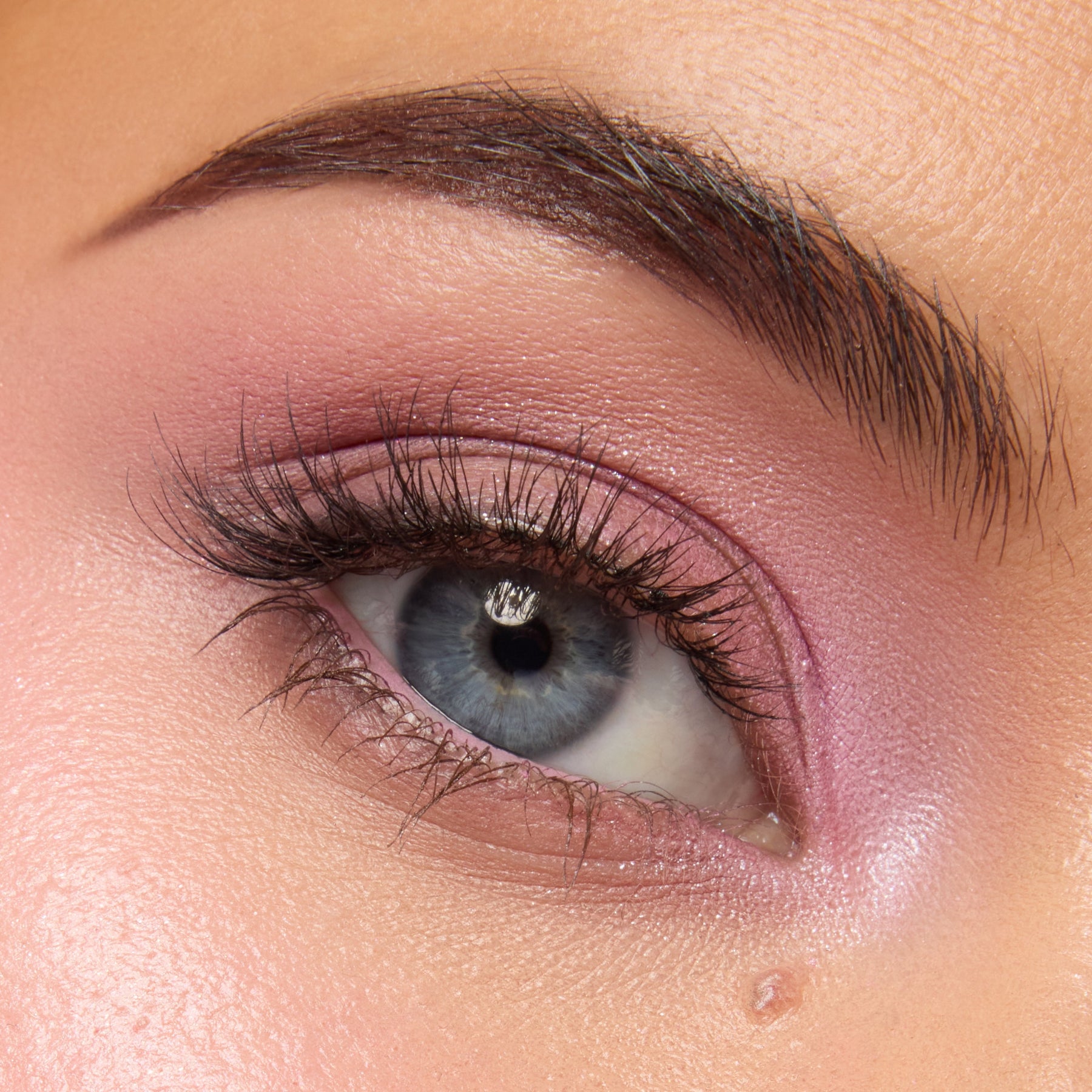Pink Dreams - Soft Focus