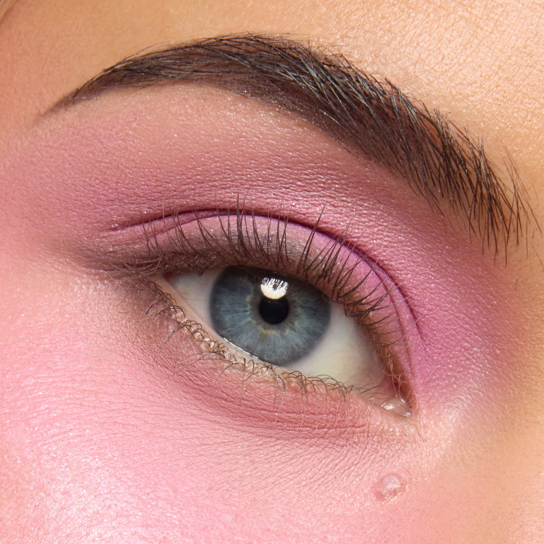 Pink Dreams Collection - Fresh Pair